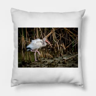 Immature White Ibis On The Move Pillow