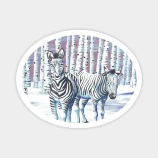 Zebras in the Snow Magnet