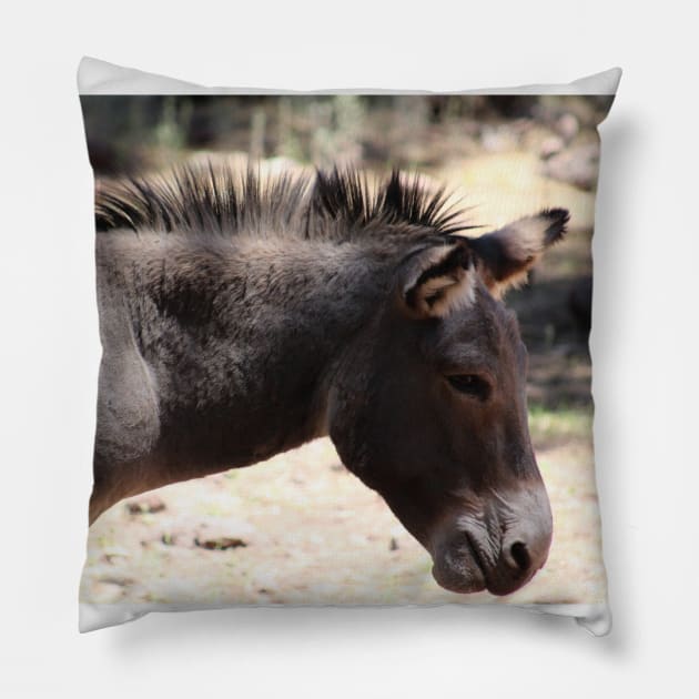 Closeup of Mule - Arizona Pillow by ButterflyInTheAttic