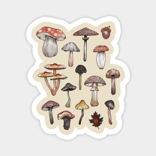 Watercolor Mushrooms Fungi Cottagecore Goblincore Magnet