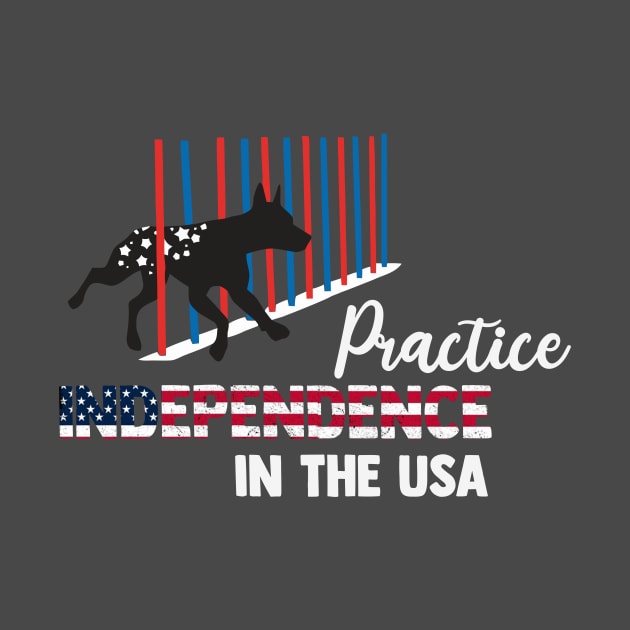 Practice INDEPENDENCE in the USA by dani creative