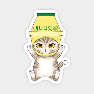 Banana Milk Cat Magnet