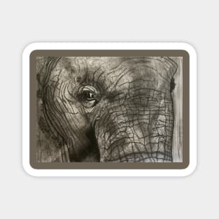 Elephant Sketch Magnet