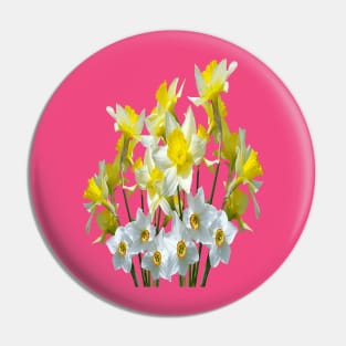Yellow Daffodils And White Narcissi Isolated Pin