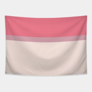 A marvelous compound of Faded Pink, Light Blue Grey, Misty Rose and Light Coral stripes. Tapestry
