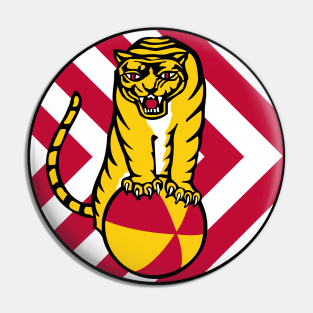 430th EE Combat Squadron wo Txt Pin