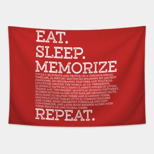 Cycle 1 Eat Sleep Memorize Repeat Memory Master Tapestry