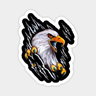 HD MOTORCYCLE RIDER - EAGLE RIDER Magnet