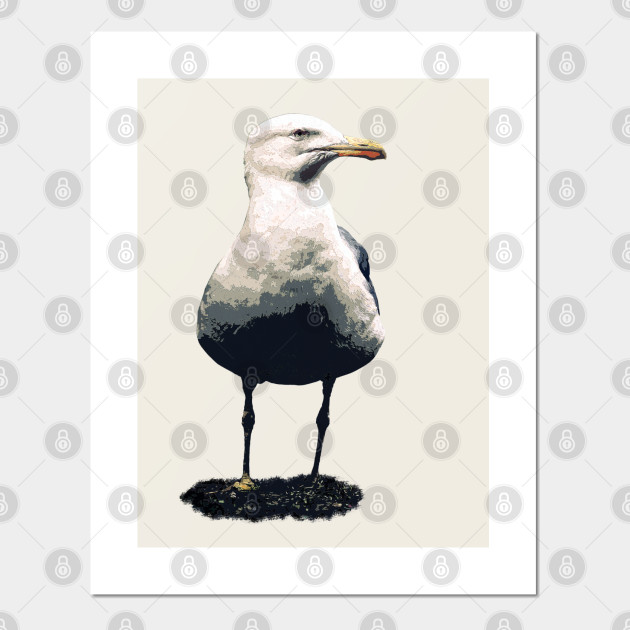 Solitary Seagull Seagull Posters And Art Prints Teepublic Uk