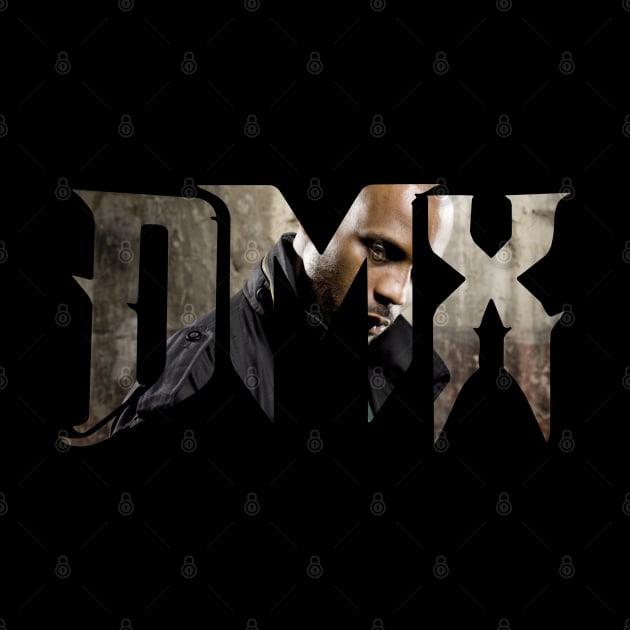 dmx by rsclvisual