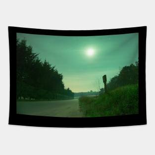 Green Moonlight Tapestry