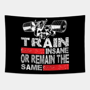 Train Insane or Remain The Same Tshirt Tees Tanktop and Gifts Items Tapestry