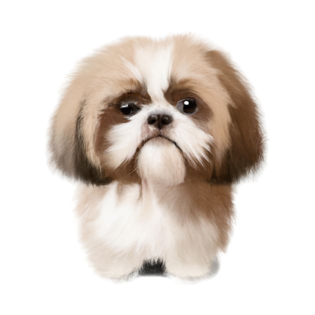 Cute Shih Tzu Drawing by Play Zoo