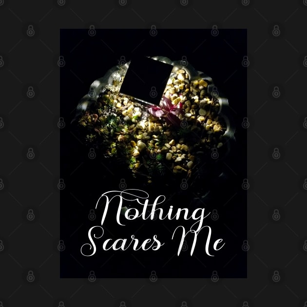 Nothing Scares Me - Night Succulent Terrarium Photo by Rebekah Thompson