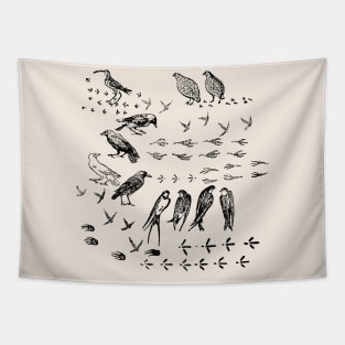 Black birds and their Footprints Tapestry