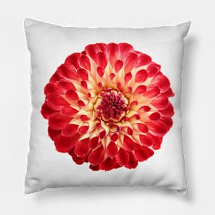 Dahlia Jowey Joshua Pillow