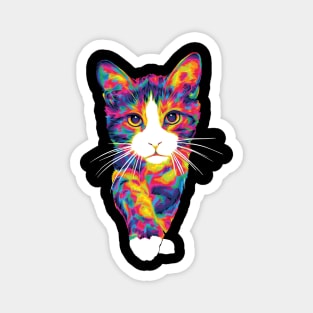 Rainbow Kitten Fur Magnet