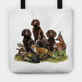 German Spaniels (  Deutscher Wachtelhund ) Tote