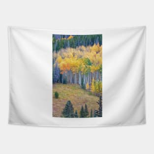 Colors of Fall Tapestry