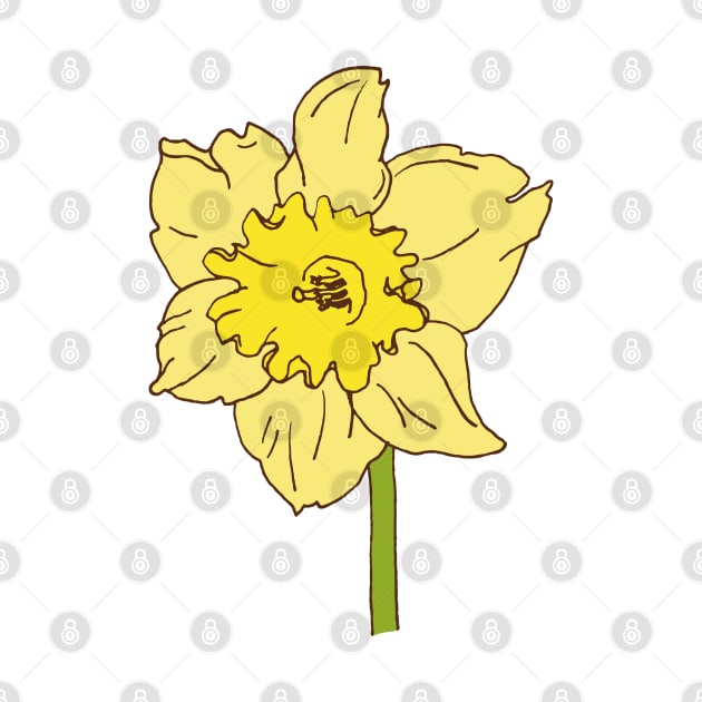 Springtime Daffodil by sallycummingsdesigns