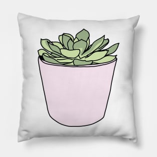 Green succulent in pink flowerpots Pillow