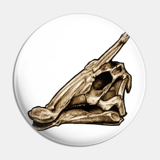 Dinosaur Skull Saurolophus Pin