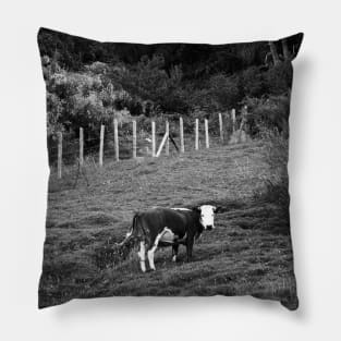 Cow (black and white) Pillow