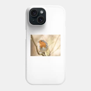 Wistful robin Phone Case