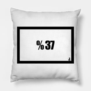 %37 Pillow