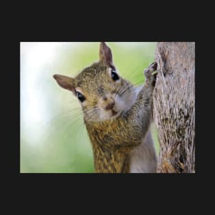 Staring Contest with a Squirrel T-Shirt