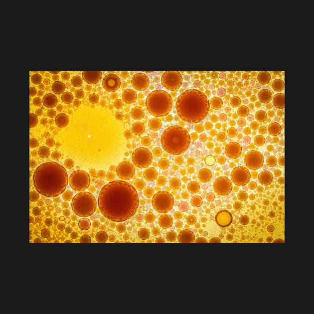 Oil and Vinegar Bubbles1 by TonyNorth