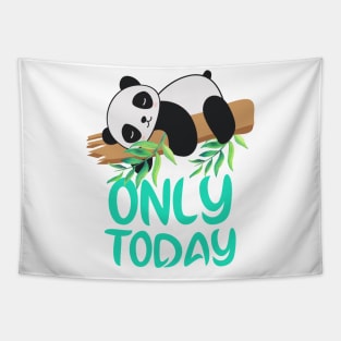 Lazy panda,lazy day for lazy moments in our life. Tapestry