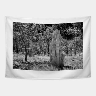 Termite Mounds 01 Tapestry