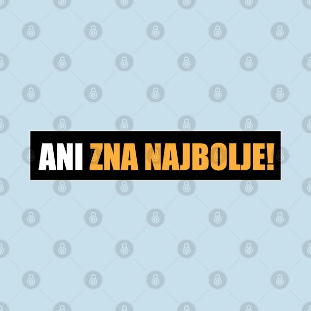 Ani zna najbolje! by Marina Curic