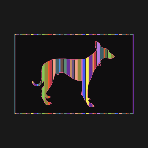 Fred - The Stripy Lurcher by colemanco