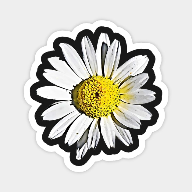 Denmark Flower Marguerite Daisy Argyranthemum Frutescens Pattern Magnet by BubbleMench