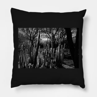 Goal Post Opuntia Pillow