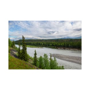 Nenana River view T-Shirt