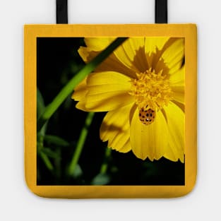 Orange Asian Lady Beetle Yellow Cosmos Tote