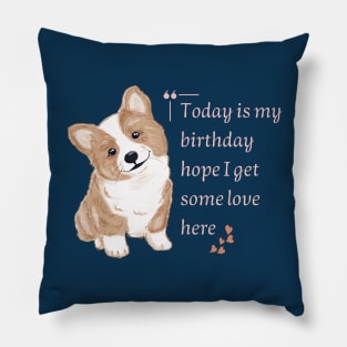 Today Is My Birthday Hope I Get Some Love Here Pillow