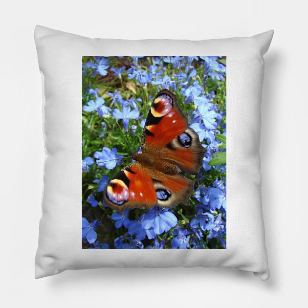 Peacock Butterfly Pillow by Chris Petty