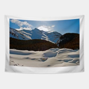 Canadian Rocky Mountains Icefields Parkway Canada Tapestry