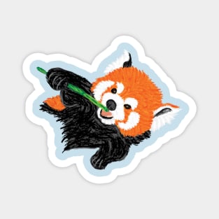 Artwork showing a Red Panda eating Bamboo I Magnet
