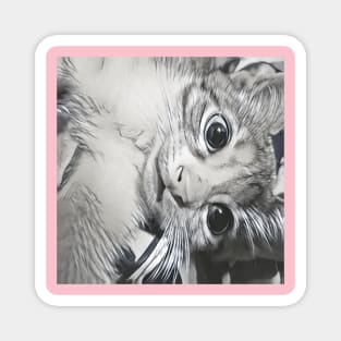 THE ADORABLE LOOK CAT PORTRAIT Magnet