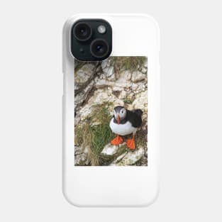 Puffin on a cliff edge Phone Case