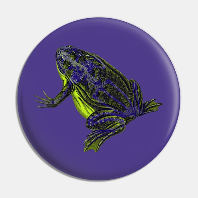 Skeleton Frog Interactive Yellow&Blue Filter By Red&Blue Pin by RedAndBlue