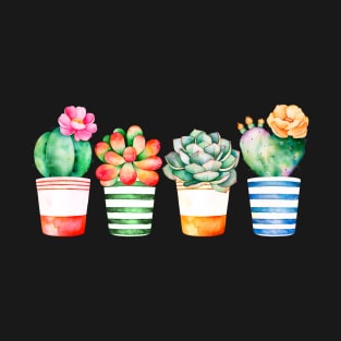 Succulents in pots T-Shirt