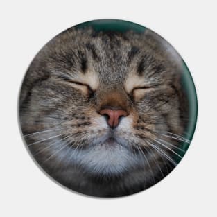 Happy cat Pin