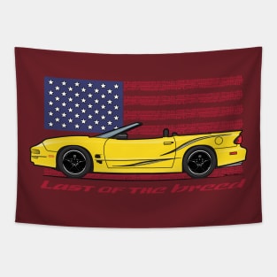 USA - Last of the breed-yellow convertible Tapestry