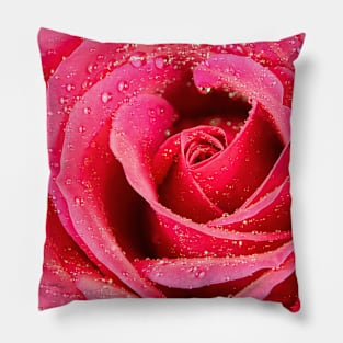 Close macro shot of a rose with water drops Pillow